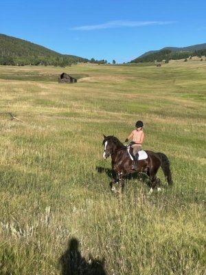 48706755-2B98-4FF5-9E66-49E91BB28FD0.jpeg 48706755-2B98-4FF5-9E66-49E91BB28FD0.jpeg