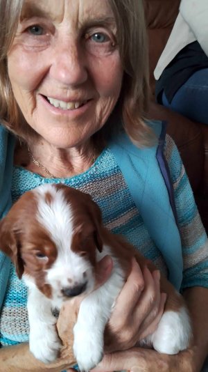 371074910_1032786851093554_913044306986485588_n.jpg 371074910_1032786851093554_913044306986485588_n.jpg