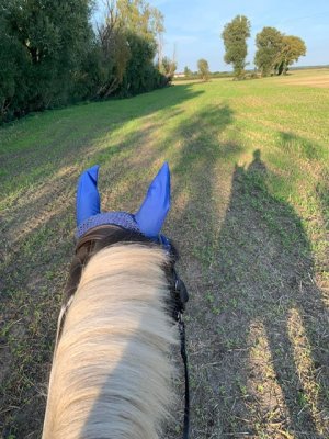 IMG_0304.jpeg IMG_0304.jpeg