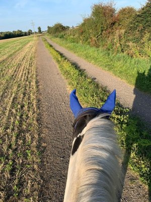 IMG_0306.jpeg IMG_0306.jpeg