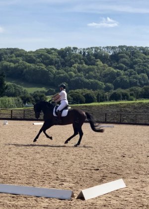 IMG_3572.jpg IMG_3572.jpg