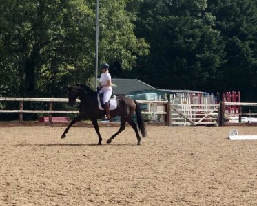 IMG_3574.jpg IMG_3574.jpg