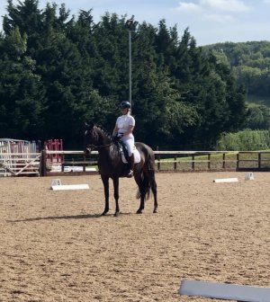 IMG_3576.jpg IMG_3576.jpg