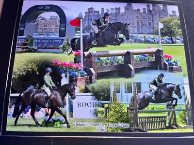 IMG_3075.jpeg IMG_3075.jpeg