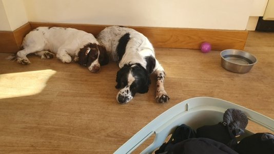 IMG_0855.jpeg IMG_0855.jpeg