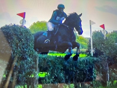 IMG-0792.jpg IMG-0792.jpg