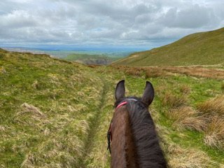 IMG_7990.jpeg