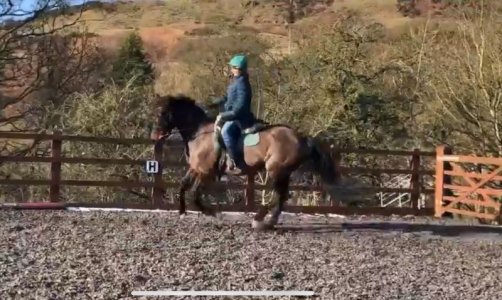 IMG-4889.jpg IMG-4889.jpg