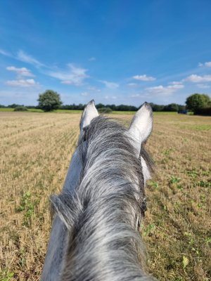 375262639_10225123170170378_6168103443604001078_n (1).jpg 375262639_10225123170170378_6168103443604001078_n (1).jpg