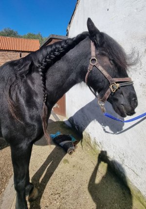 375745905_10225136417941564_1761498812159139296_n.jpg 375745905_10225136417941564_1761498812159139296_n.jpg