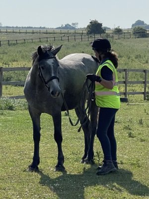 EED97760-B298-44CE-8855-B7076BEA2D88.jpeg EED97760-B298-44CE-8855-B7076BEA2D88.jpeg