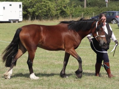 0523B782-6816-42FD-8C52-61895432CB61.jpeg 0523B782-6816-42FD-8C52-61895432CB61.jpeg