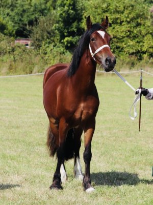 3BD60E89-48B5-4675-AC27-9F4188C4F870.jpeg 3BD60E89-48B5-4675-AC27-9F4188C4F870.jpeg