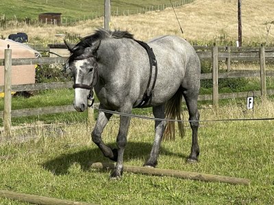 B63A881B-2FFF-45B2-ADC1-05DFBB65D8F7.jpeg B63A881B-2FFF-45B2-ADC1-05DFBB65D8F7.jpeg