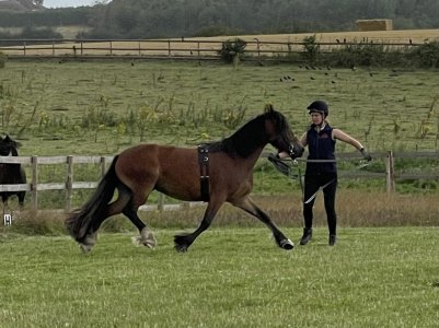 CC9BB135-5352-4DD7-A034-12D3FD8D8547.jpeg CC9BB135-5352-4DD7-A034-12D3FD8D8547.jpeg