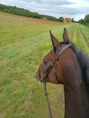 Aione hack.jpg Aione hack.jpg