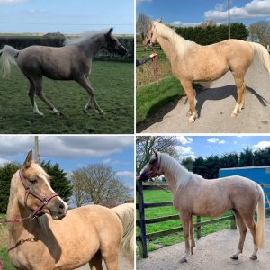 58345007-451A-4CA2-BAD0-F18AAF4D54F5.jpeg 58345007-451A-4CA2-BAD0-F18AAF4D54F5.jpeg