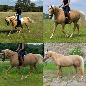 4827AF2C-4FD3-47A7-9744-57BA5BFE0DEE.jpeg 4827AF2C-4FD3-47A7-9744-57BA5BFE0DEE.jpeg