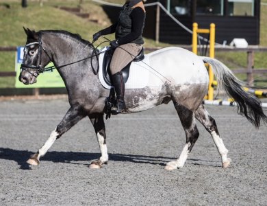 85294940-1091-4E8F-8C14-51721F2DC856.jpeg 85294940-1091-4E8F-8C14-51721F2DC856.jpeg