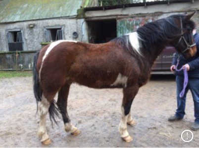 IMG_4644.jpeg IMG_4644.jpeg