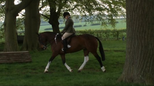 IMG_5488.jpg IMG_5488.jpg