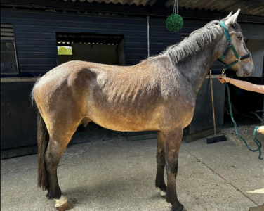 1694595636244.png 1694595636244.png