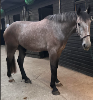 1694595706023.png 1694595706023.png