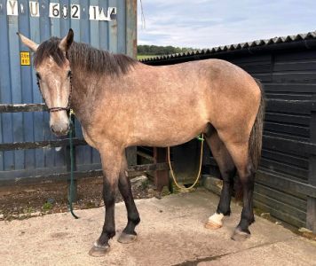 1694595777869.png 1694595777869.png