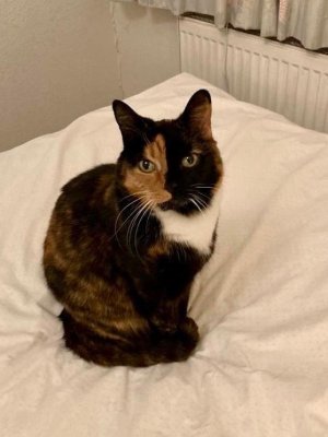 IMG_9962.jpeg IMG_9962.jpeg