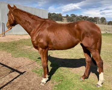 Screenshot 2023-09-15 065440.jpg Screenshot 2023-09-15 065440.jpg