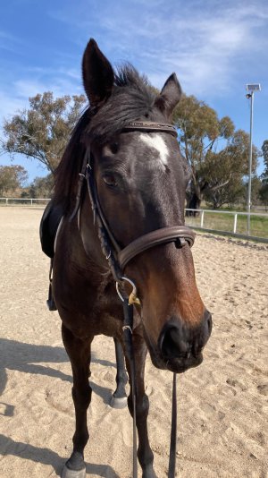 377926523_1593362974404022_5136114934713076843_n.jpg 377926523_1593362974404022_5136114934713076843_n.jpg