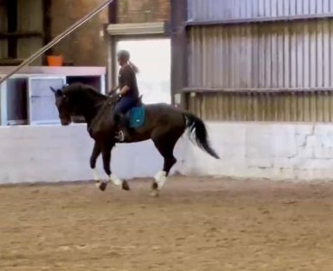 IMG_2424.jpeg IMG_2424.jpeg