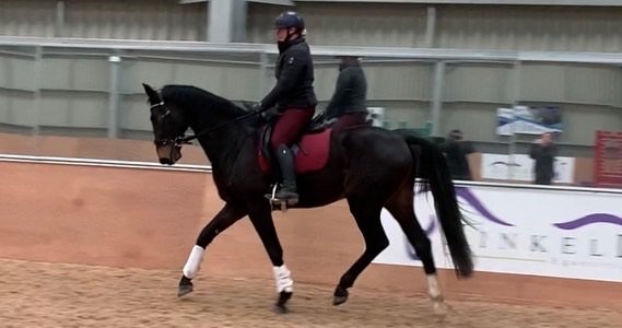 3232B02A-0EDD-406A-AF0A-2E256C111D7F.jpeg 3232B02A-0EDD-406A-AF0A-2E256C111D7F.jpeg