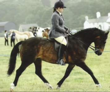 IMG_1614.jpeg IMG_1614.jpeg