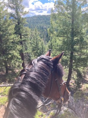 9F3B1490-C13C-48AB-A2D5-7ECBA2B03BB3.jpeg 9F3B1490-C13C-48AB-A2D5-7ECBA2B03BB3.jpeg