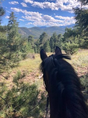 5D269BE2-7756-4563-8FC8-9DE2AD51BA85.jpeg 5D269BE2-7756-4563-8FC8-9DE2AD51BA85.jpeg