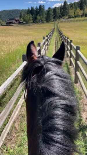 8E176EE9-F78B-4434-BD5F-11A4EE333305.jpeg 8E176EE9-F78B-4434-BD5F-11A4EE333305.jpeg