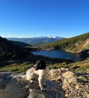 440C765A-B276-492C-BE61-AF299F4090D7.jpeg 440C765A-B276-492C-BE61-AF299F4090D7.jpeg