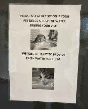 IMG_1928.jpeg IMG_1928.jpeg