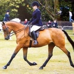 IMG_5453.jpeg IMG_5453.jpeg