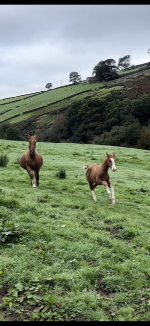 IMG-1232.jpg IMG-1232.jpg