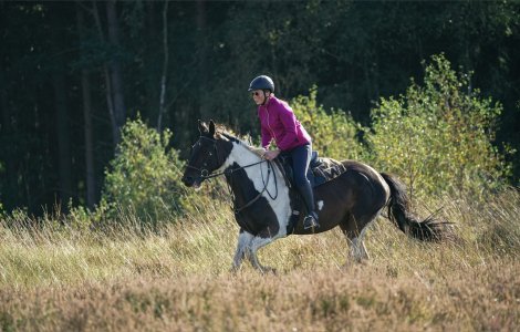 IMG_4122.jpeg IMG_4122.jpeg