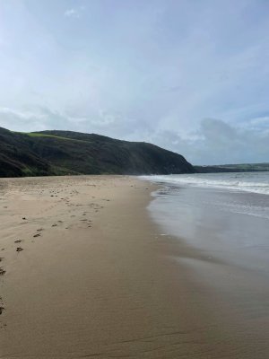 IMG_0542.jpeg IMG_0542.jpeg