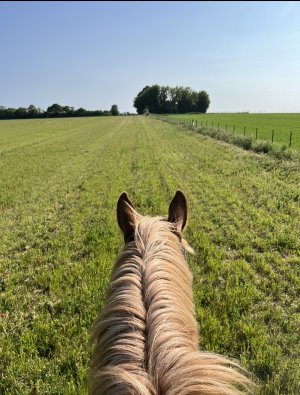 C3CBA3C8-0836-4A79-9A6A-036A34B875CB.jpeg C3CBA3C8-0836-4A79-9A6A-036A34B875CB.jpeg