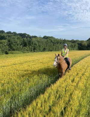 06D18C99-1D3F-4850-B8DD-A73578D46B95.jpeg 06D18C99-1D3F-4850-B8DD-A73578D46B95.jpeg