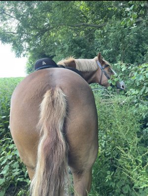 9FF138BF-5BAF-4222-BD76-08423591BB69.jpeg 9FF138BF-5BAF-4222-BD76-08423591BB69.jpeg