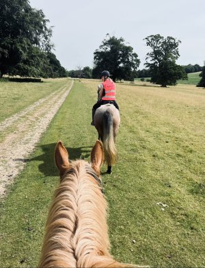 F967D103-CC96-42C5-A7ED-04F687C46EBD.jpeg F967D103-CC96-42C5-A7ED-04F687C46EBD.jpeg