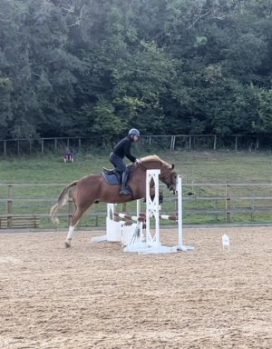 775FA662-710E-482A-B963-D73274D6846C.jpeg 775FA662-710E-482A-B963-D73274D6846C.jpeg