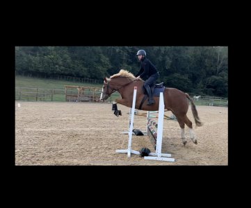 82AB3690-7D6C-4BAB-9F5E-5444E8CFB9EF.jpeg 82AB3690-7D6C-4BAB-9F5E-5444E8CFB9EF.jpeg