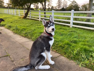 860A1D28-BCB6-467F-8A9E-60F3A9907144.jpeg 860A1D28-BCB6-467F-8A9E-60F3A9907144.jpeg